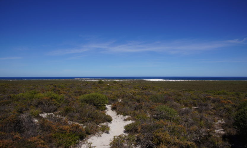 F*** you Coronavirus - Gallery Slide #1