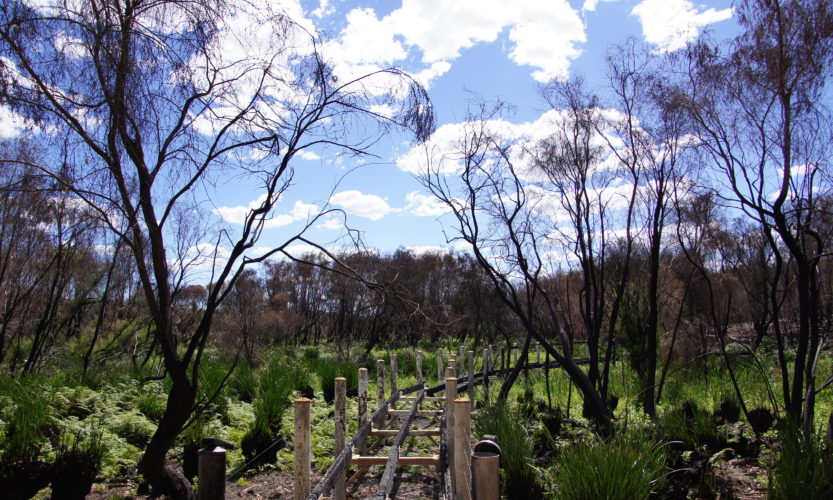 F*** you Coronavirus - Gallery Slide #3